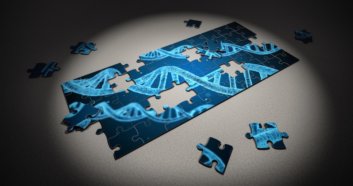 puzzle, DNA 